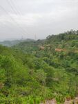 森林风景