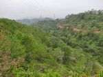 山地森林风光