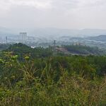 山地 丘陵风景