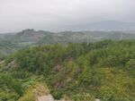 山地森林风光
