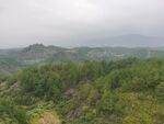 丘陵 山地 树林