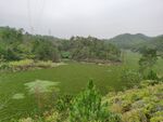 森林风景