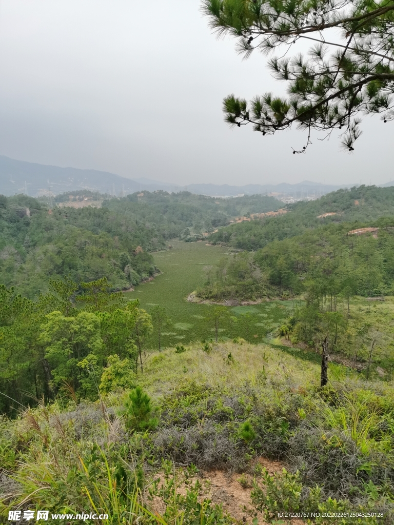 森林风景