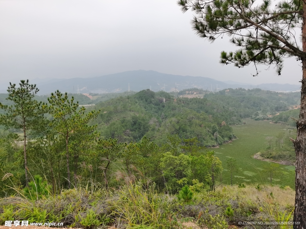 山地森林风景