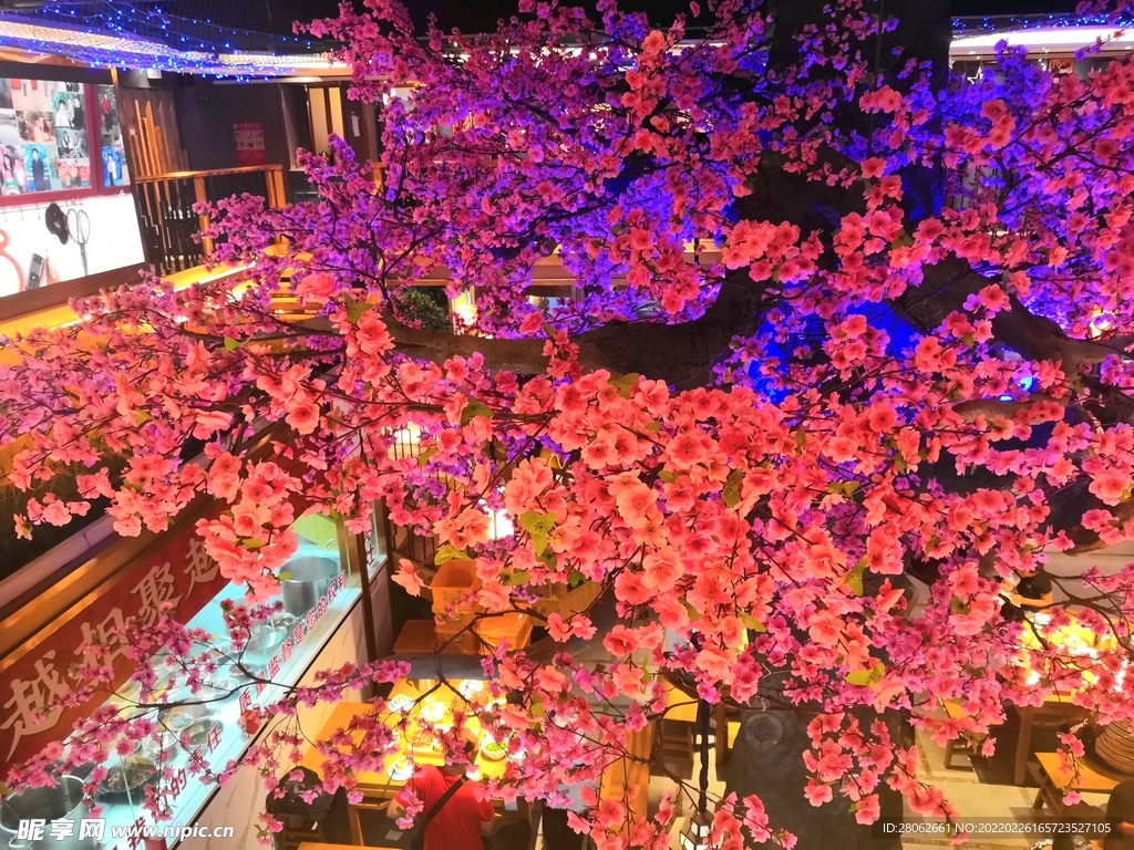 火红的花儿