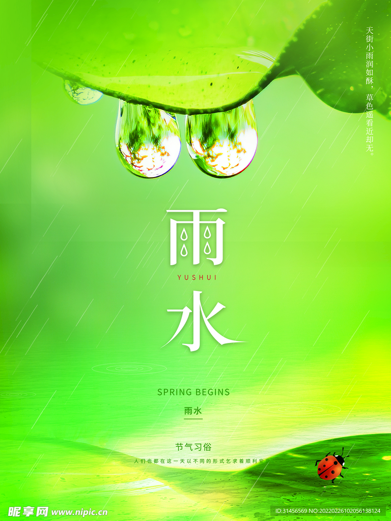 雨水