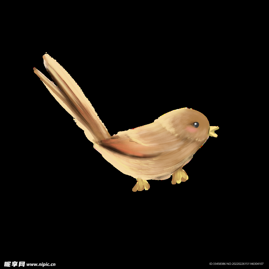春天的小鸟