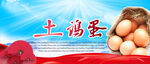 土鸡蛋