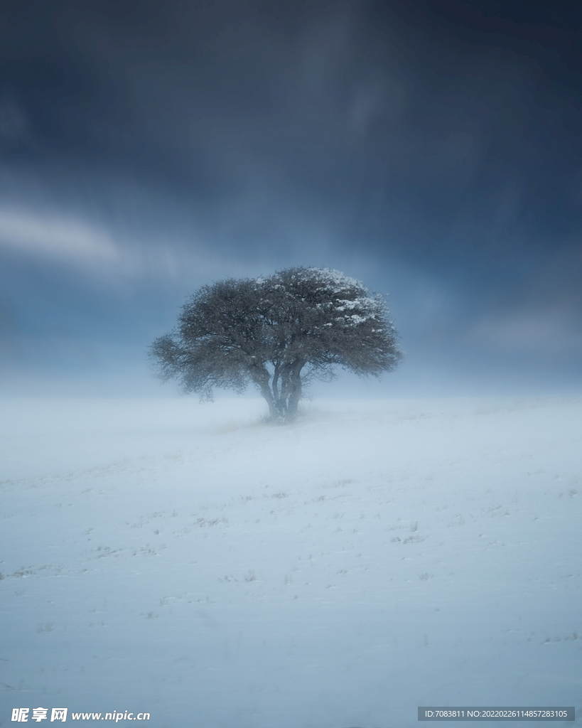 雪景