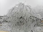 冰雪