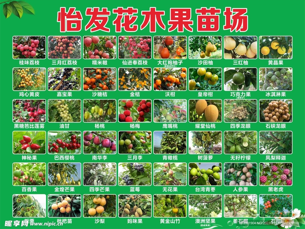 花木果苗