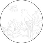 玉兰与鸟