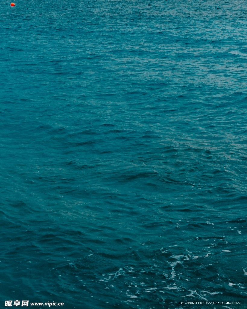 海