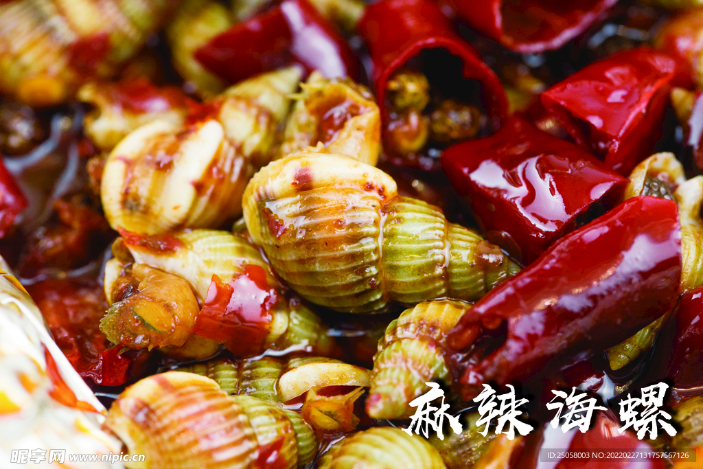 麻辣海螺