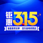 钜惠315