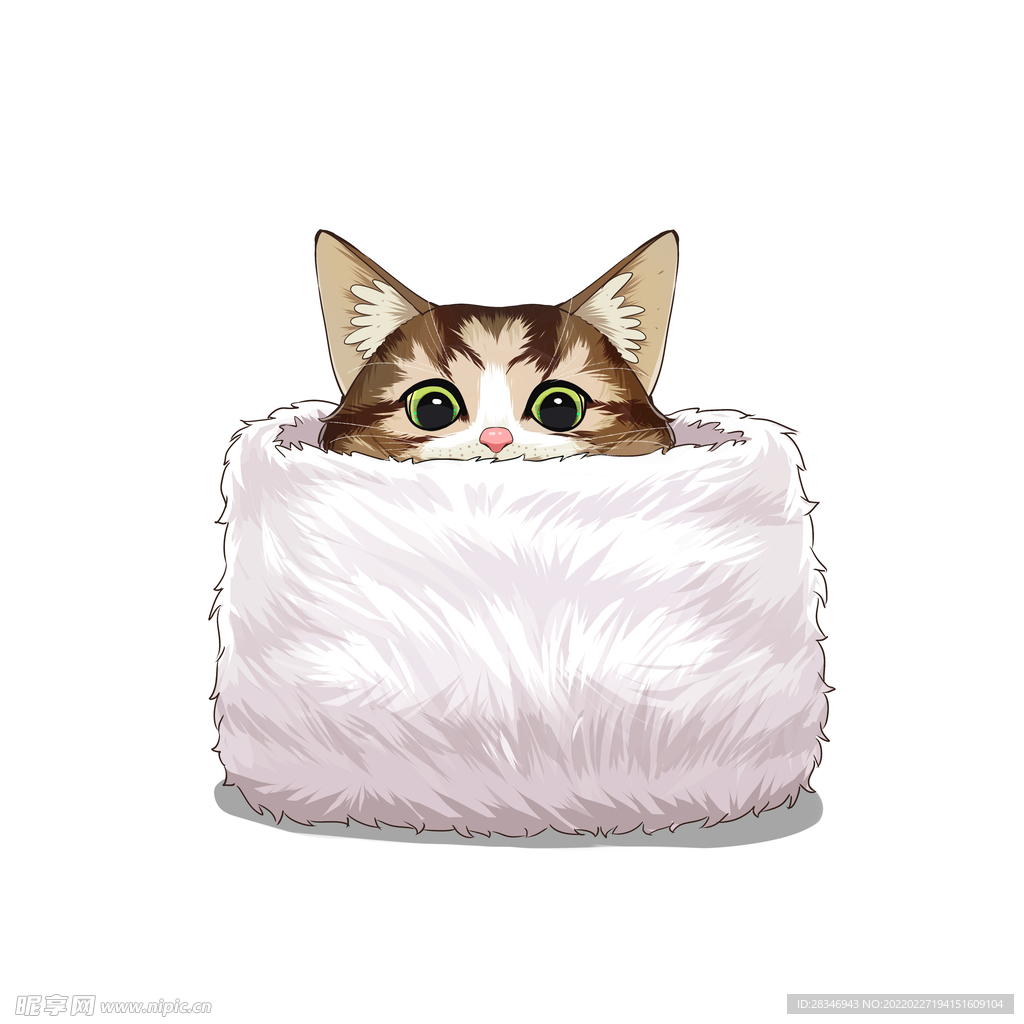 猫              