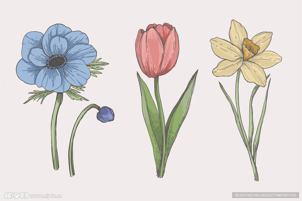 花卉 矢量花