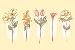 花卉 矢量花