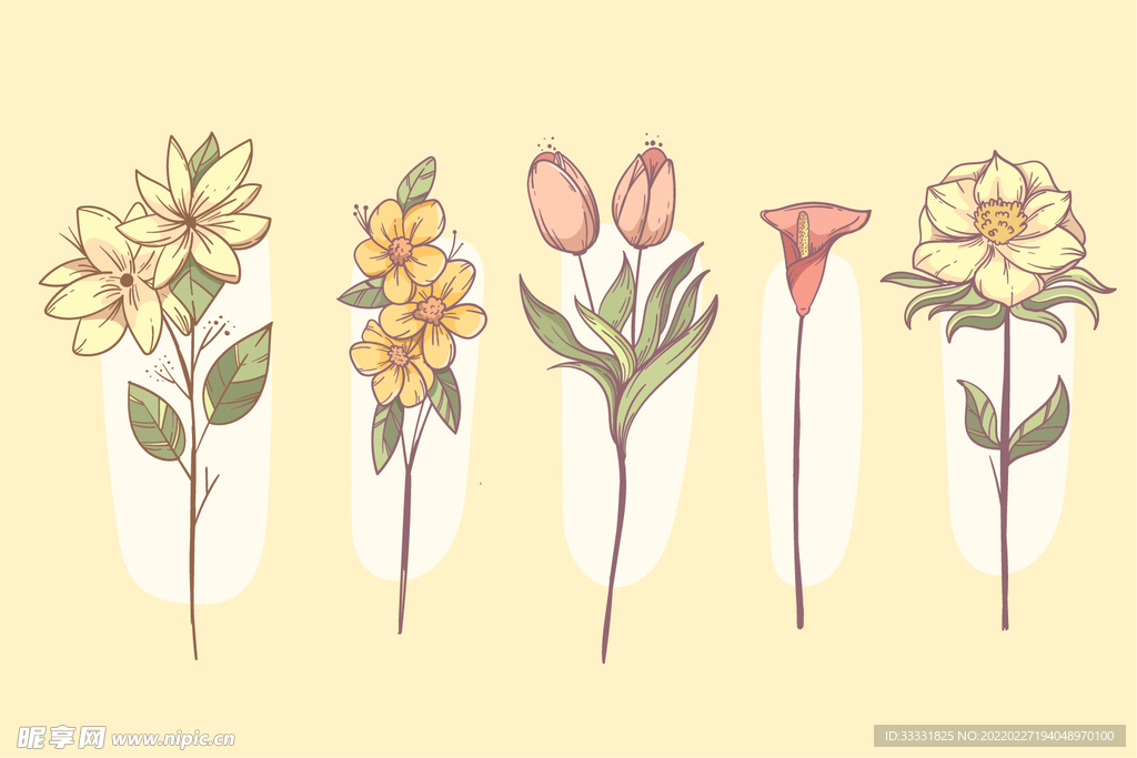 花卉 矢量花