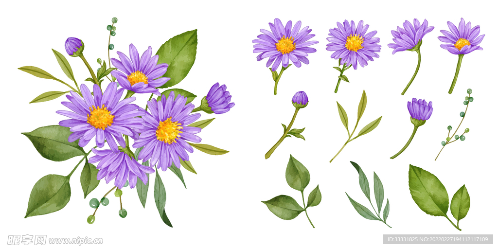 花卉 矢量花
