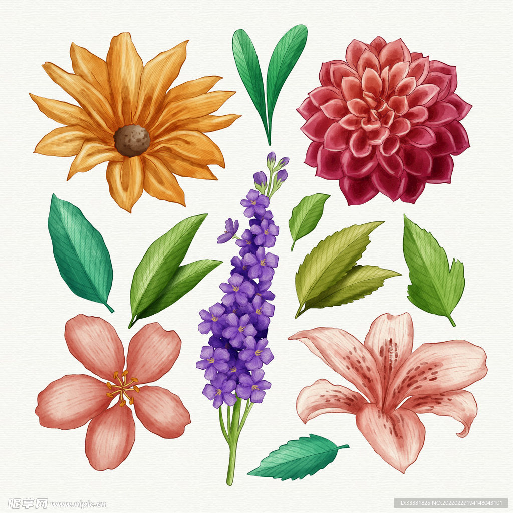 花卉 矢量花