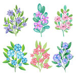 花卉 矢量花