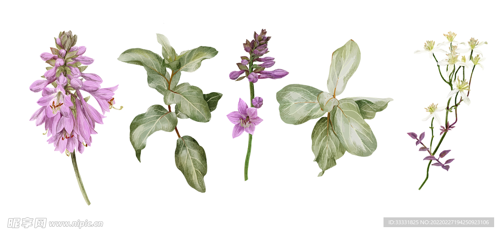 花卉 矢量花
