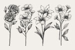 花卉 矢量花