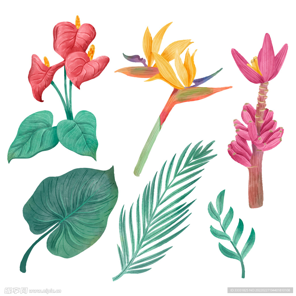 花卉 矢量花