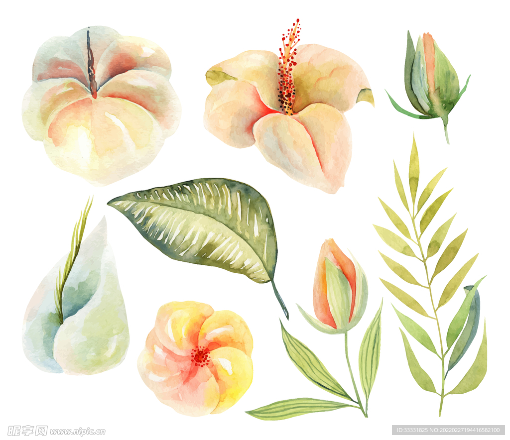 花卉 矢量花