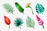 花卉 矢量花