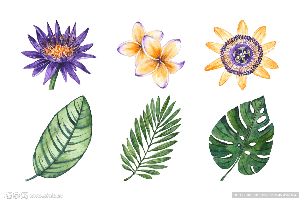 花卉 矢量花