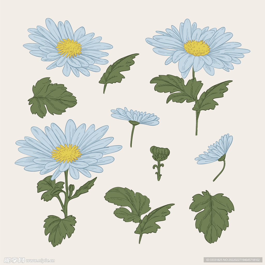 花卉 矢量花