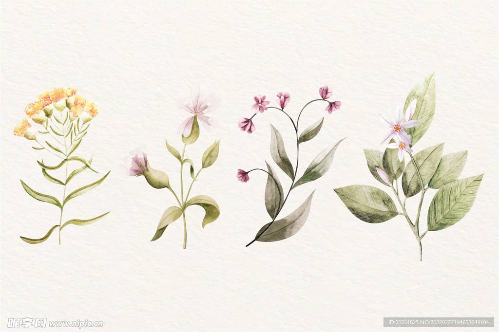 花卉 矢量花