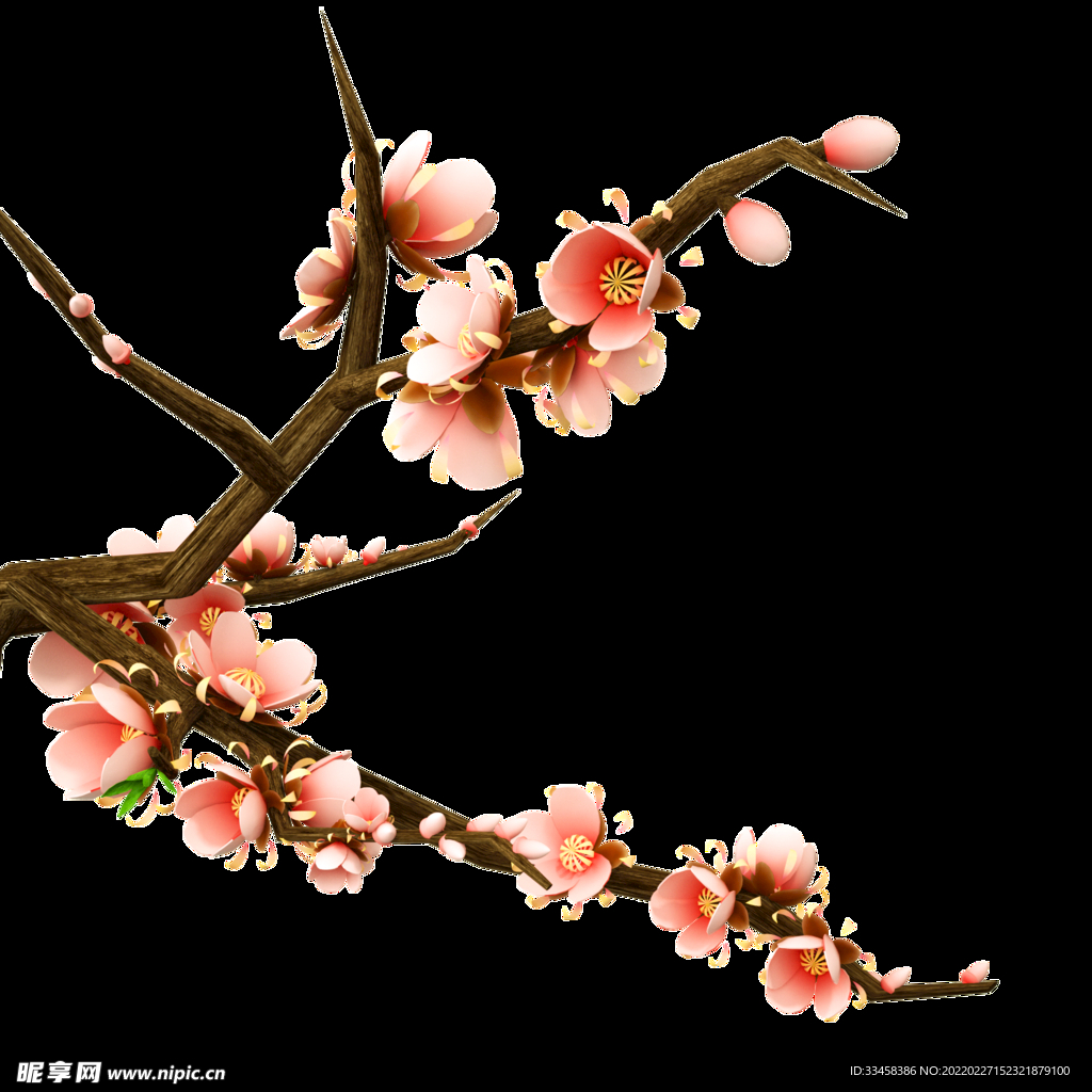 春天樱花花枝树枝