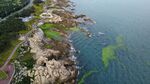 青岛的海边