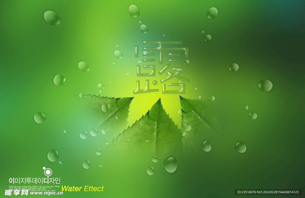 露珠