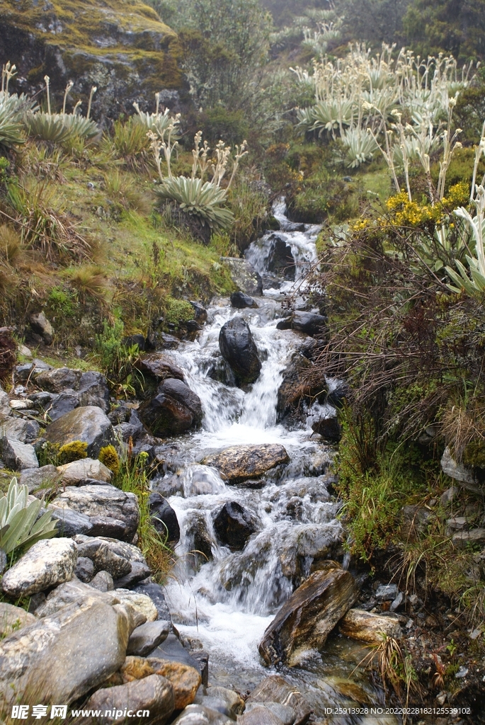 岩石 鹅卵石 小河 流水 河水