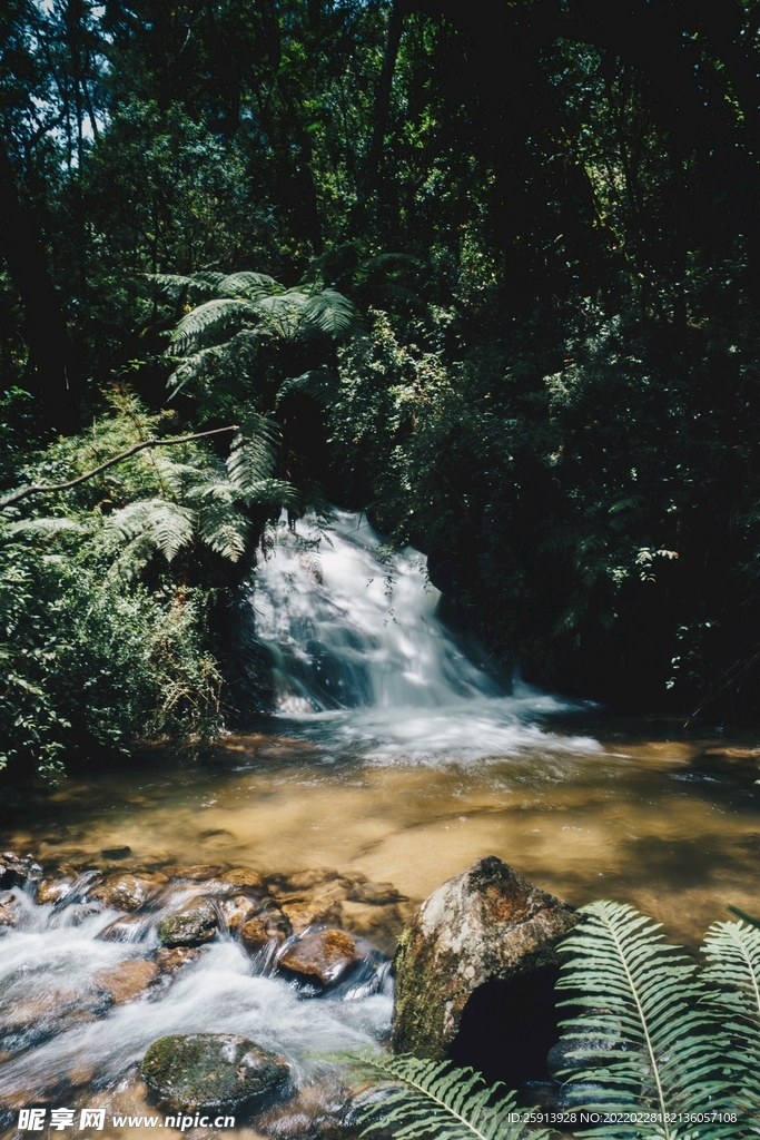 岩石 鹅卵石 小河 流水 河水