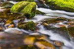 岩石 鹅卵石 小河 流水 河水