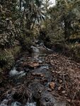 岩石 鹅卵石 小河 流水 河水