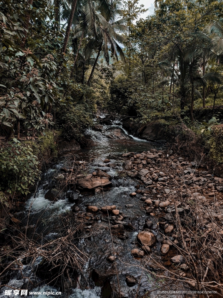 岩石 鹅卵石 小河 流水 河水
