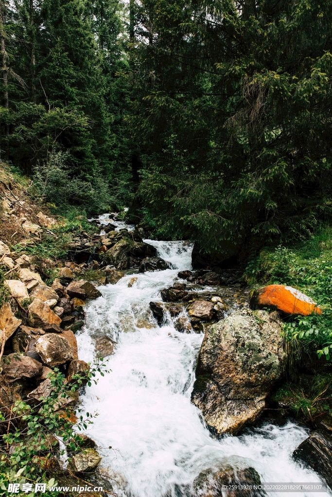 小河 小溪 流水 岩石 鹅卵石