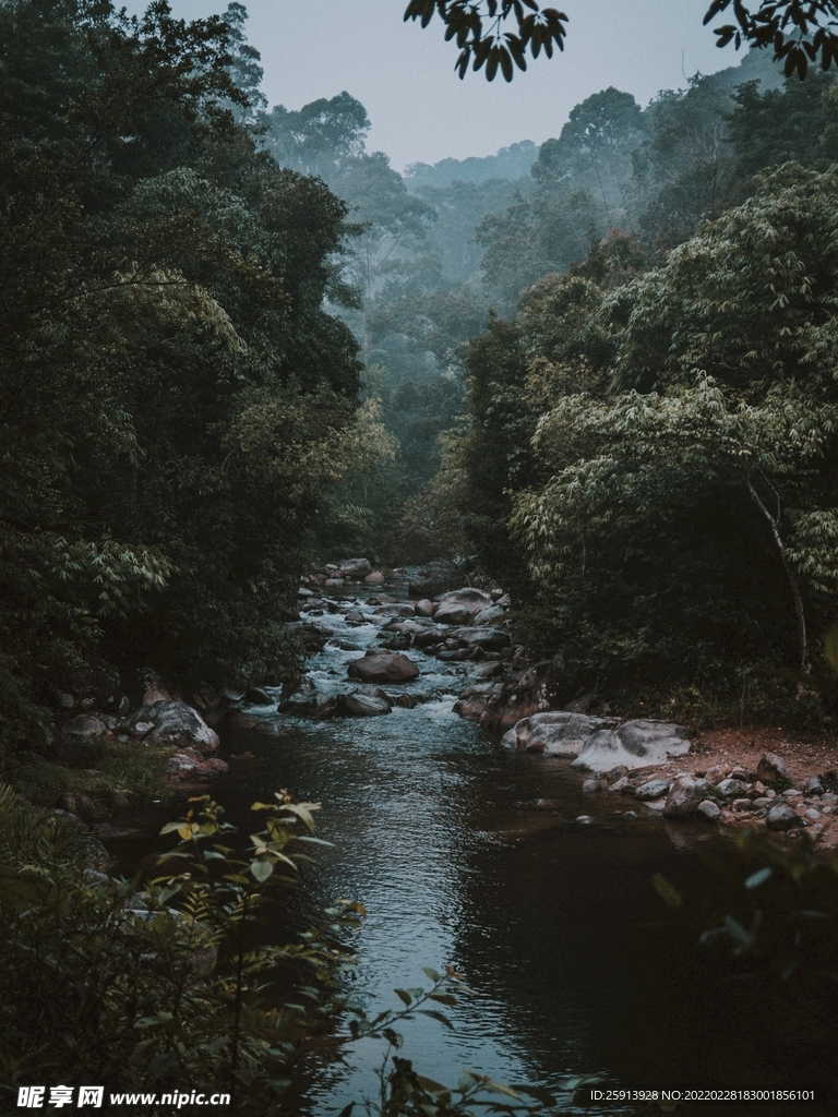 小河 小溪 流水 岩石 鹅卵石