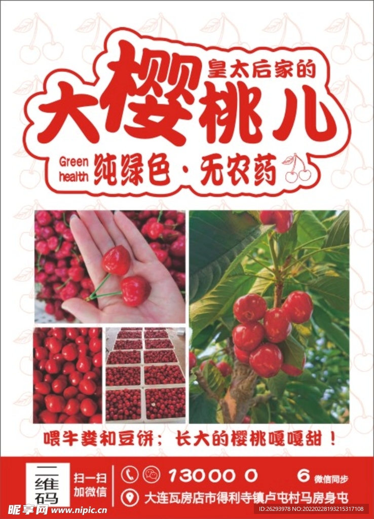 大樱桃 车厘子