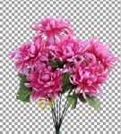 透明底花艺          
