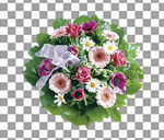 透明底花艺          