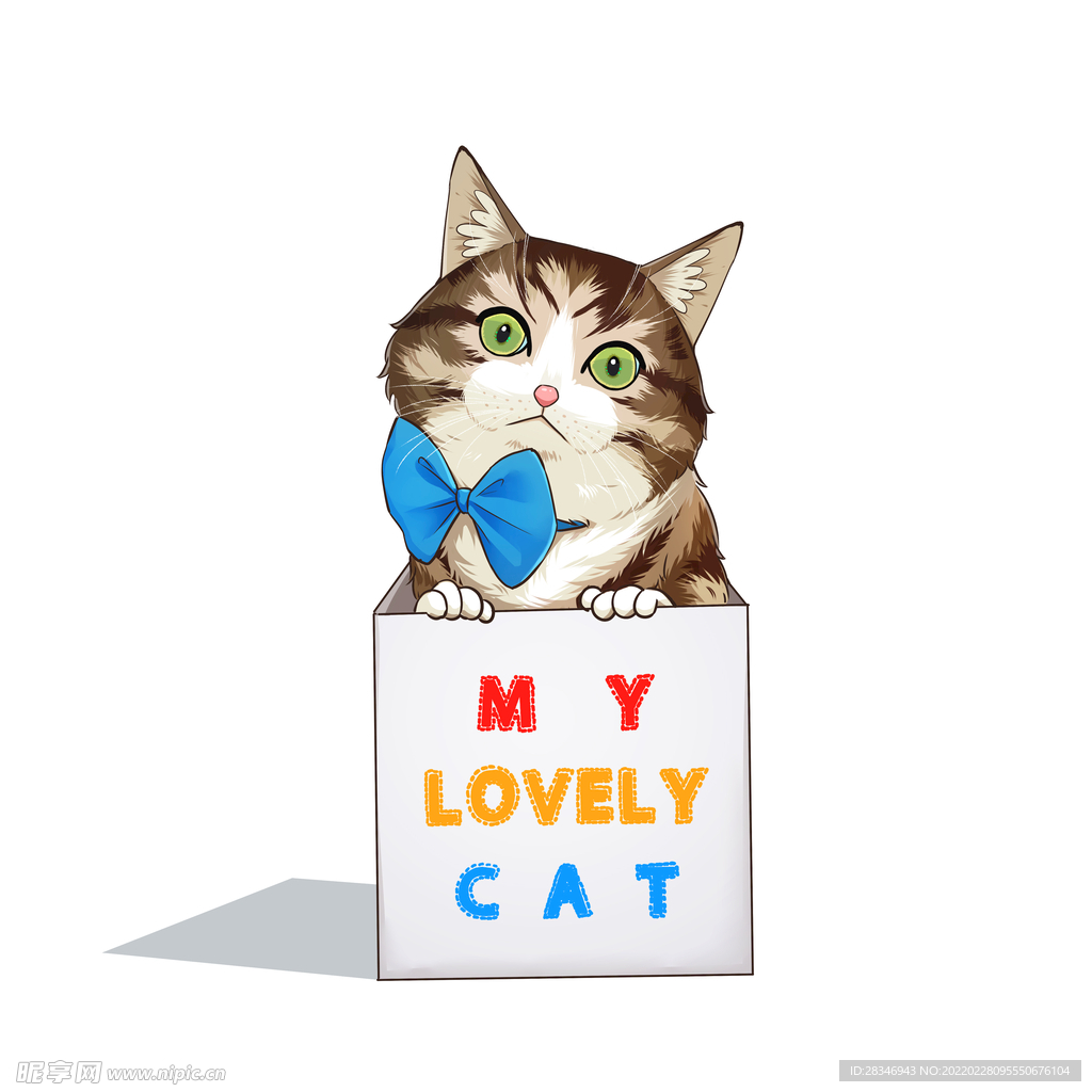 猫              