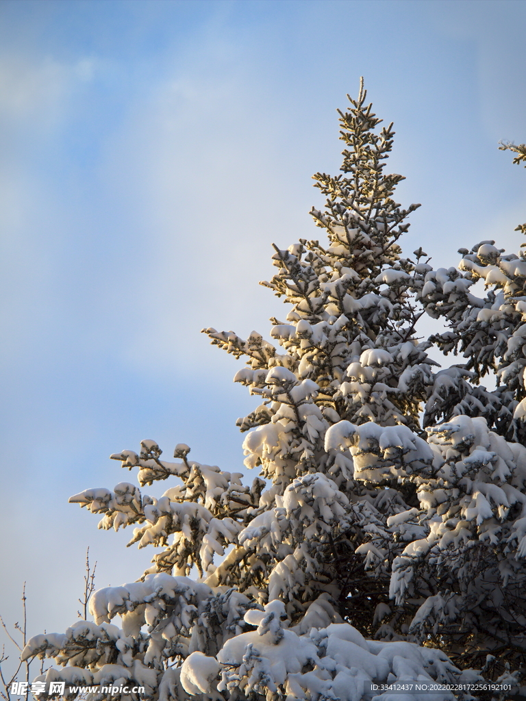 雪