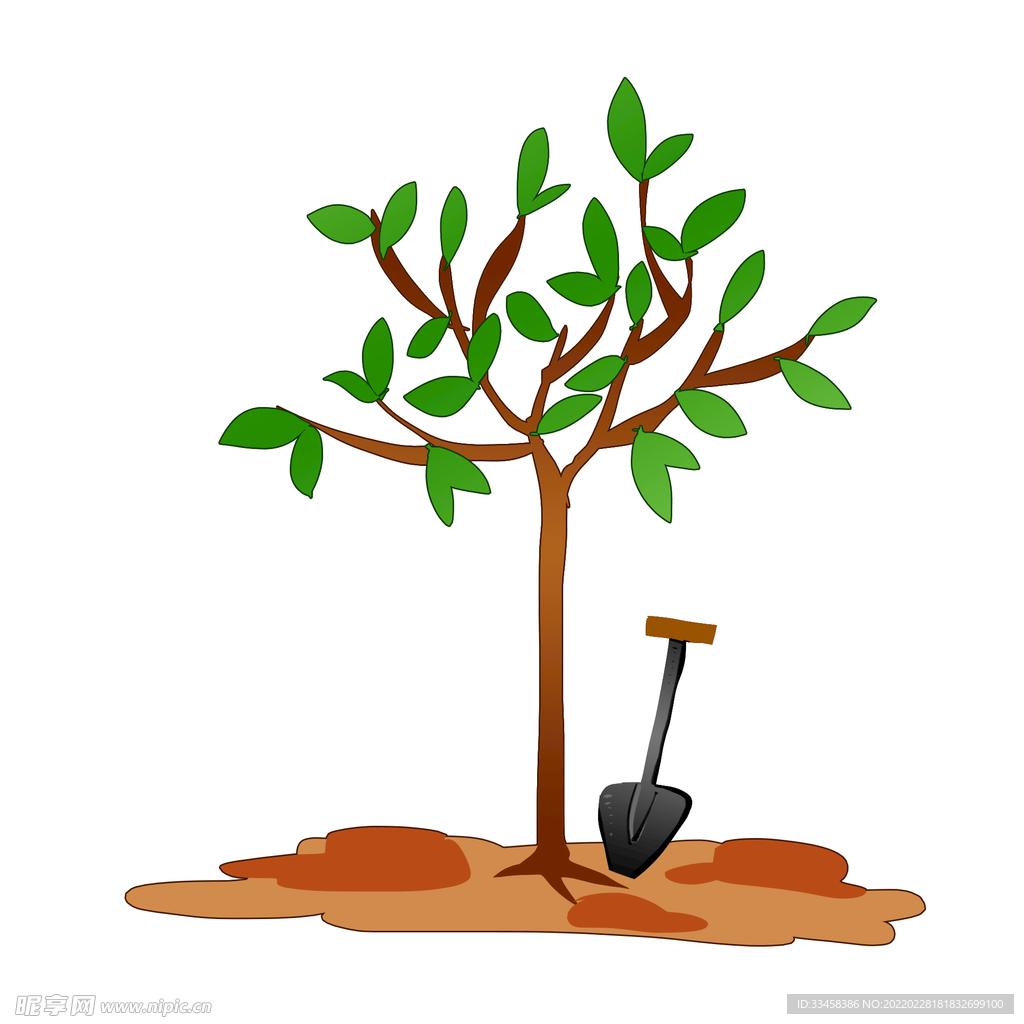 植树节参加种树